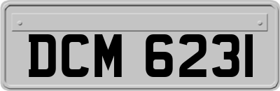 DCM6231
