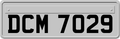 DCM7029