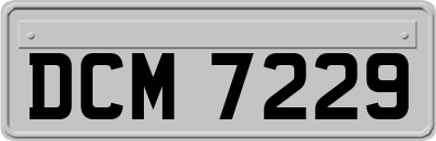 DCM7229