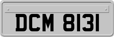 DCM8131
