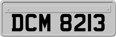 DCM8213