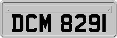 DCM8291