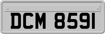 DCM8591