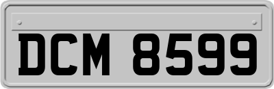 DCM8599