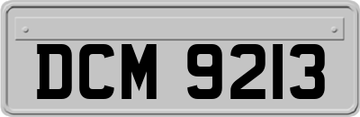 DCM9213