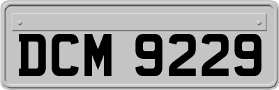 DCM9229
