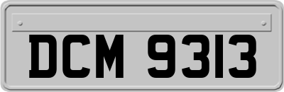 DCM9313
