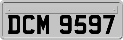 DCM9597