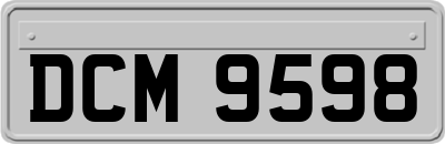 DCM9598