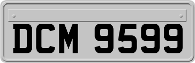 DCM9599