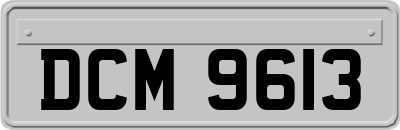 DCM9613