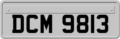 DCM9813