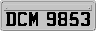 DCM9853