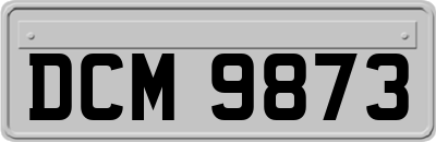 DCM9873