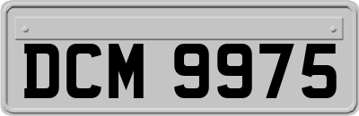 DCM9975