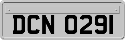DCN0291