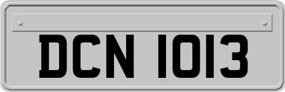 DCN1013