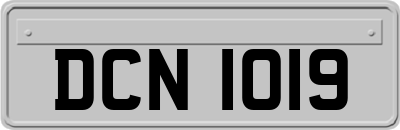 DCN1019