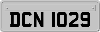 DCN1029