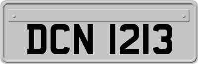 DCN1213