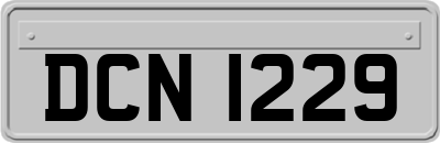 DCN1229