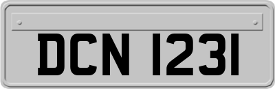 DCN1231