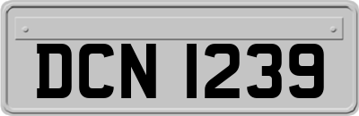 DCN1239