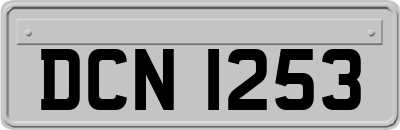 DCN1253