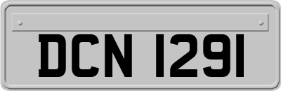 DCN1291