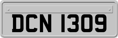 DCN1309