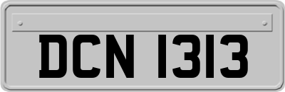 DCN1313