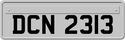 DCN2313
