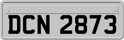 DCN2873