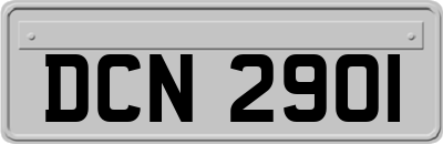 DCN2901