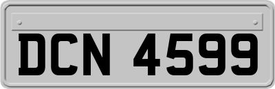 DCN4599