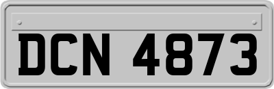 DCN4873