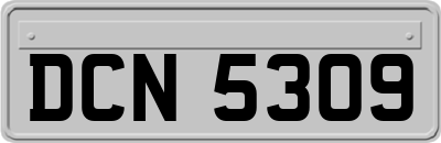 DCN5309