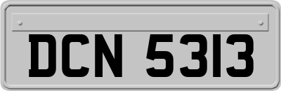 DCN5313