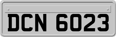 DCN6023