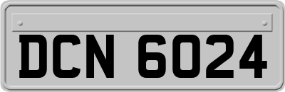 DCN6024
