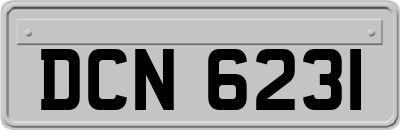 DCN6231