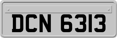DCN6313