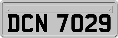 DCN7029
