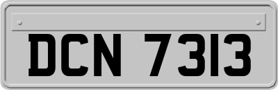 DCN7313