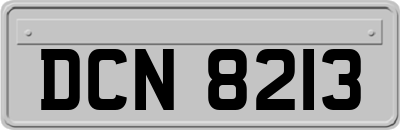 DCN8213