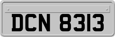 DCN8313