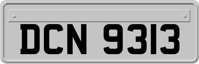 DCN9313