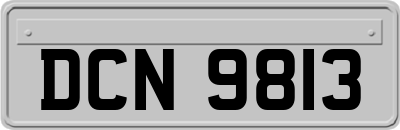 DCN9813