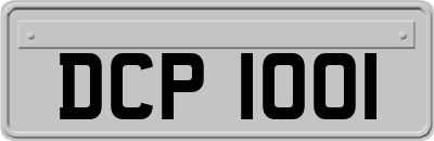 DCP1001