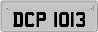 DCP1013